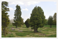 Téglasírok-Bricktombs