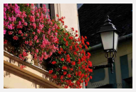 sopron_40